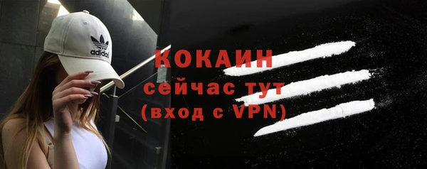 дживик Баксан