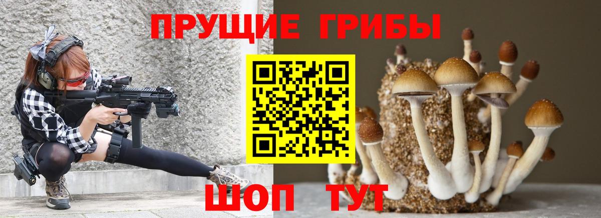 Галлюциногенные грибы GOLDEN TEACHER Воскресенск